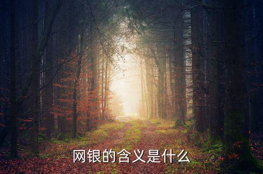 網(wǎng)銀存入代表什么意思，網(wǎng)銀的含義是什么