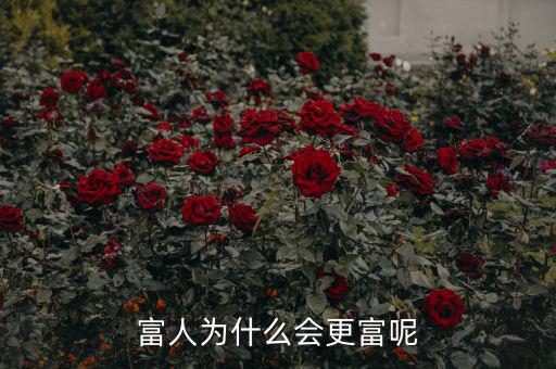 富人為什么越來越富，為什么富人越來越富