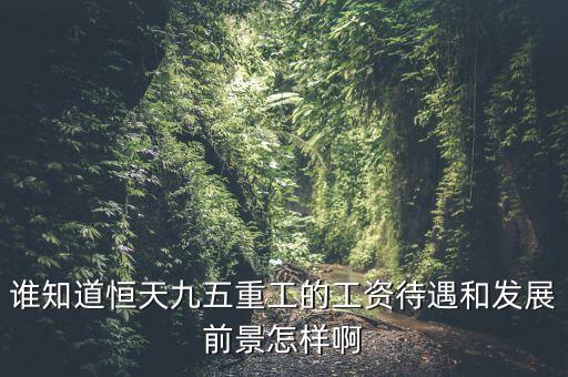 恒天九五什么時候上市，誰知道恒天九五重工的工資待遇和發(fā)展前景怎樣啊