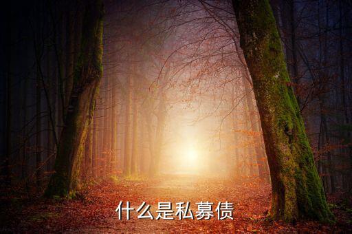 什么是小貸公司私募債，什么是私募債