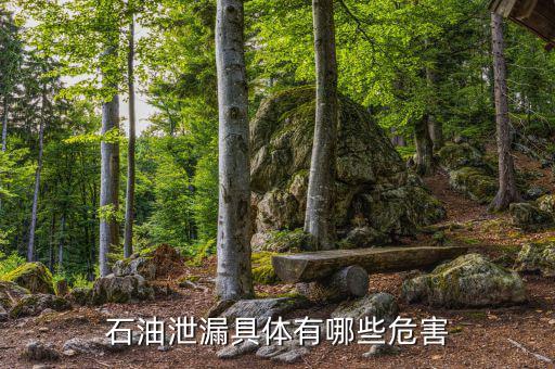 原油泄漏影響什么部門，石油泄漏具體有哪些危害
