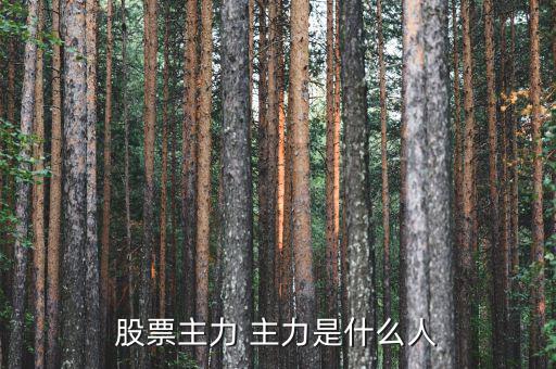 炒股的都是什么人，什么樣的人才是炒股的高手