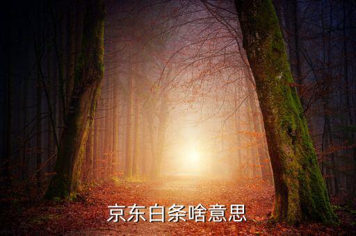 京東白條是什么，京東白條啥意思