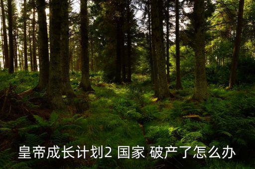 皇帝成長計劃2 國家 破產了怎么辦