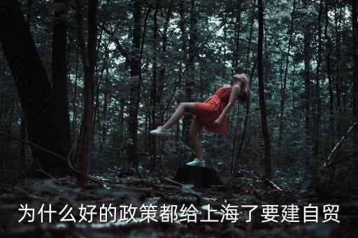 為什么要設(shè)立上海自貿(mào)區(qū)，上海自貿(mào)區(qū)成立的目的