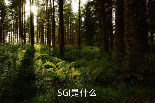 開源證券是什么，SGI是什么