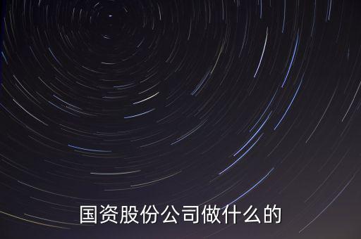 國資公司是做什么的，國資股份公司做什么的