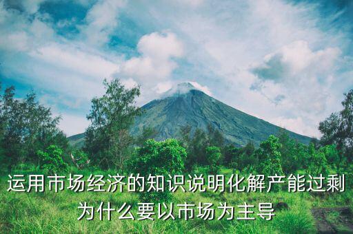 運(yùn)用市場(chǎng)經(jīng)濟(jì)的知識(shí)說(shuō)明化解產(chǎn)能過(guò)剩為什么要以市場(chǎng)為主導(dǎo)
