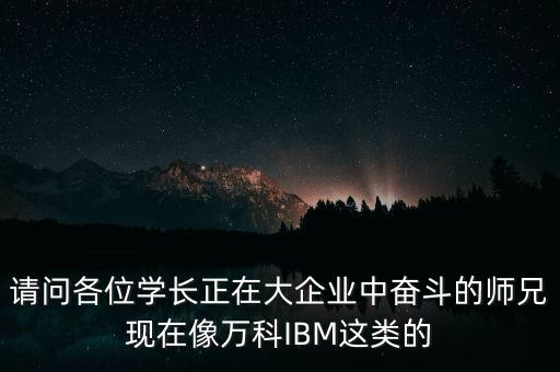 請(qǐng)問(wèn)各位學(xué)長(zhǎng)正在大企業(yè)中奮斗的師兄現(xiàn)在像萬(wàn)科IBM這類的
