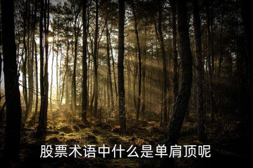 復(fù)肩頂股票里什么意思，頭頂肩在股市中是什么意思