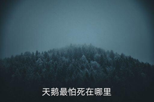天鵝怕什么，天鵝最怕死在哪里