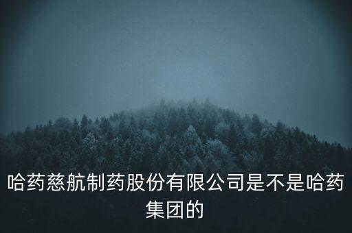 哈藥慈航制藥股份有限公司是不是哈藥集團(tuán)的