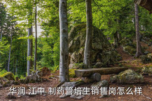 華潤(rùn) 江中 制藥管培生銷(xiāo)售崗怎么樣