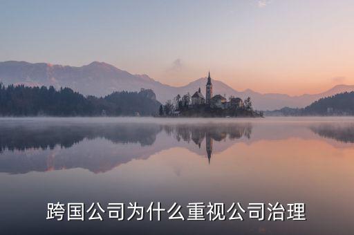 為什么要公司治理，索尼公司為何要進(jìn)行公司治理改革