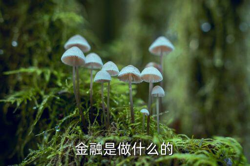 中國(guó)29金融是干什么的，金融是干什么的
