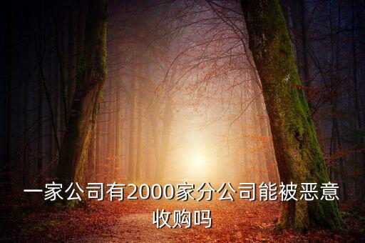 初靈信息為什么要并購，一家公司有2000家分公司能被惡意收購嗎