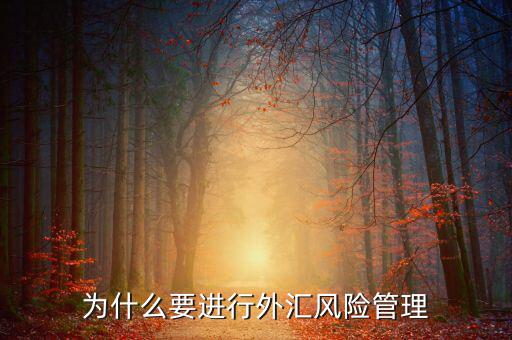 中國為什么實行外匯管制，為什么要加入國家外匯管理局工作