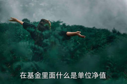 什么是基金單位凈值，基金單位凈值是什么意思