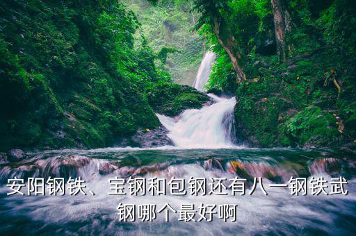 安陽(yáng)鋼鐵、寶鋼和包鋼還有八一鋼鐵武鋼哪個(gè)最好啊