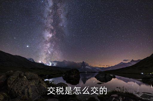怎么交稅,納稅人須向主管?chē)?guó)稅機(jī)關(guān)提交書(shū)面申請(qǐng)報(bào)告