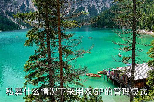 雙gp基金是什么，私募什么情況下采用雙GP的管理模式