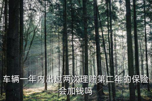 一年中兩次事故理培有什么影響，車輛一年內(nèi)出過兩次理賠第二年的保險會加錢嗎