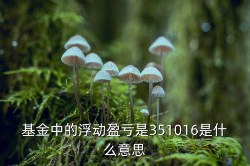 基金的浮動盈虧是什么意思，基金中的浮動盈虧是351016是什么意思