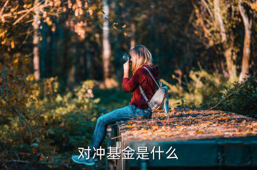 對沖基金是什么意思，什么是對沖基金對沖基金指的是什么