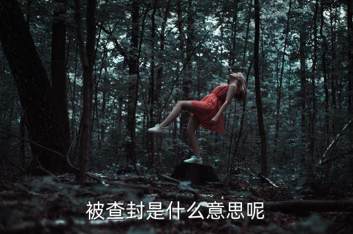 承兌匯票被查封是什么意思，被查封是什么意思呢