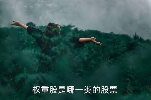 權(quán)重股是什么意思，權(quán)重股是哪一類的股票