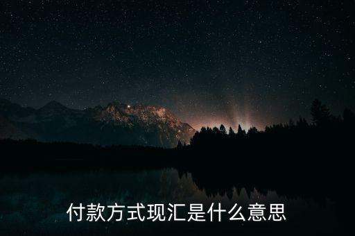 現(xiàn)匯金額是什么意思，招行自動(dòng)還款中現(xiàn)匯是什么意思