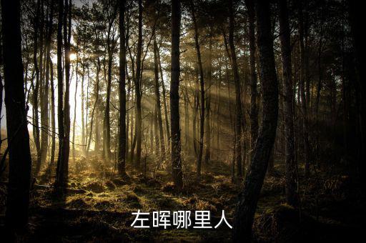 左暉靠什么起家，左暉與左東華什么關(guān)系