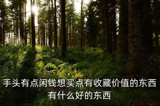 手頭有點(diǎn)閑錢(qián)想買(mǎi)點(diǎn)有收藏價(jià)值的東西有什么好的東西