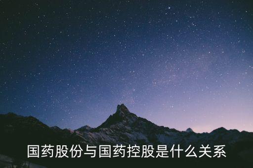 國藥股份與國藥控股是什么關系