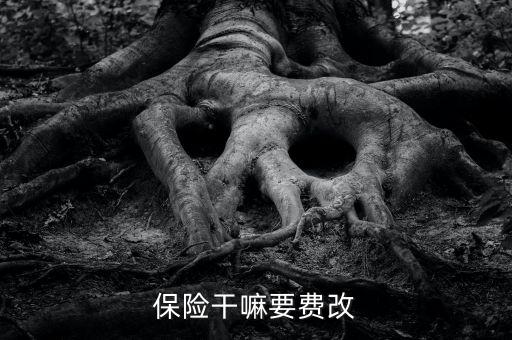 什么是費(fèi)改產(chǎn)品，移動(dòng)營(yíng)業(yè)廳不能由用戶老產(chǎn)品轉(zhuǎn)換成當(dāng)前產(chǎn)品什么意思