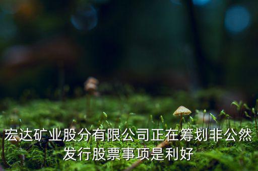 宏達礦業(yè)什么重大事項，請教600687停盤說是因為核實公司相關重大事項這個重大事項有知
