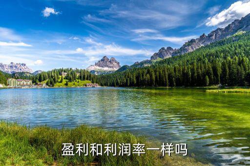 為什么說利潤是個絕對數(shù)，盈利和利潤率一樣嗎