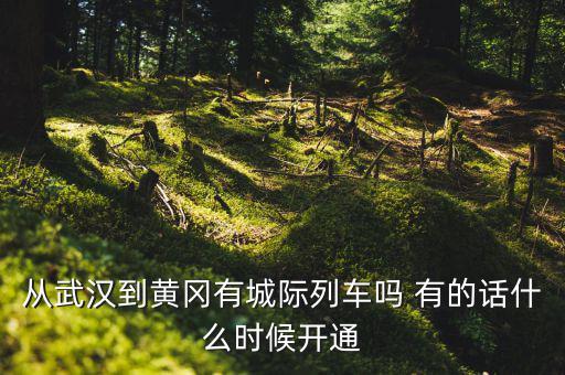 武漢至黃岡城際鐵路什么時候通車，從武漢到黃岡有城際列車嗎 有的話什么時候開通