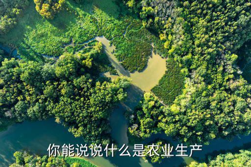 什么叫農(nóng)業(yè)生產(chǎn)經(jīng)營體制，你能說說什么是農(nóng)業(yè)生產(chǎn)