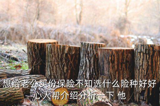 夫妻買什么保險好，想給老公買份保險不知選什么險種好好心人幫介紹分析一下 他
