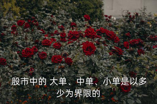  股市中的 大單、中單、小單是以多少為界限的