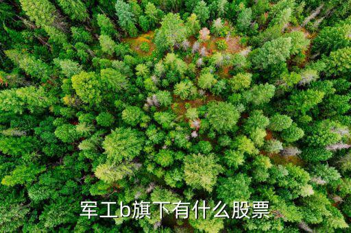 軍工b屬于什么股票，軍工b旗下有什么股票