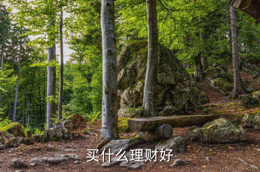 買什么理財產(chǎn)品，買什么理財好