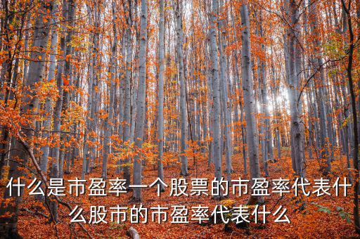 平均市盈率說明什么，什么是市盈率一個股票的市盈率代表什么股市的市盈率代表什么