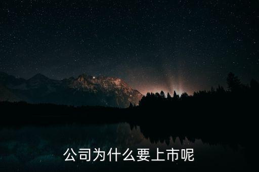 公司為什么上市，公司為什么要上市呢