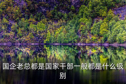 中交地產(chǎn)總經(jīng)理屬于什么級別干部，國企老總都是國家干部一般都是什么級別