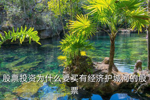 什么是股票投資的護(hù)城河理論，從基本面看證券投資的護(hù)城河是指哪幾類情況