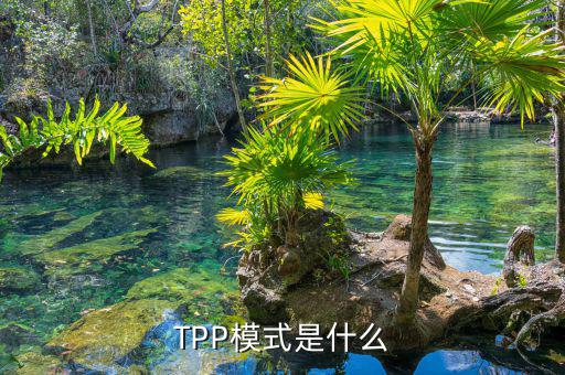 tpp什么時(shí)候生效，TPP文件時(shí)什么東西