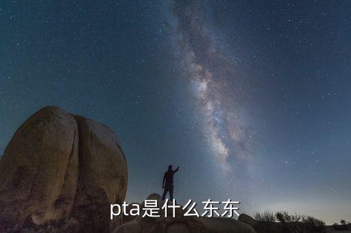 pta行業(yè)是什么，pta是什么東東