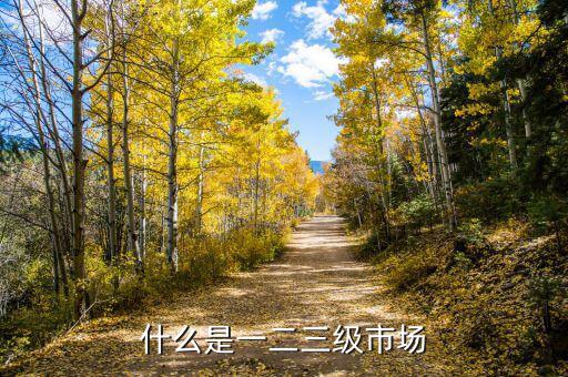 什么是一級(jí)市場，房地產(chǎn)一級(jí)市場是什么意思